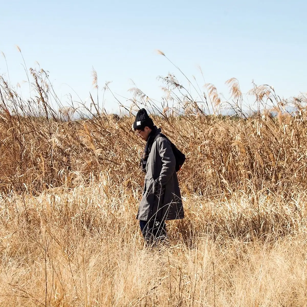 birds humming the beatアー写