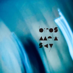 「echoes」/ birds melt skyアートワーク