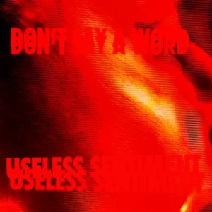 「Don’t Say A Word / Useless Sentiment」/ Blood Red Shoesアートワーク