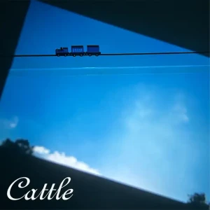 「Blue Train」/ cattleアートワーク