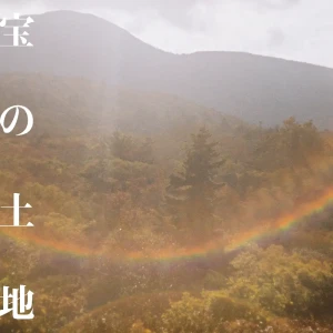 『宝の土地』/ chatoeアートワーク