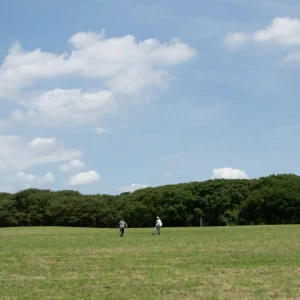 「Sweep」/ DaybreakFreekアートワーク