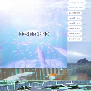 「Dead for Me」/ DaybreakFreekアートワーク