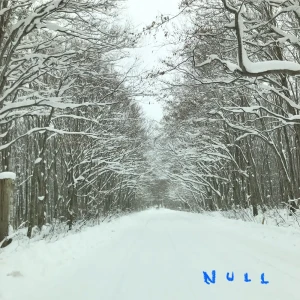 NULLアートワーク