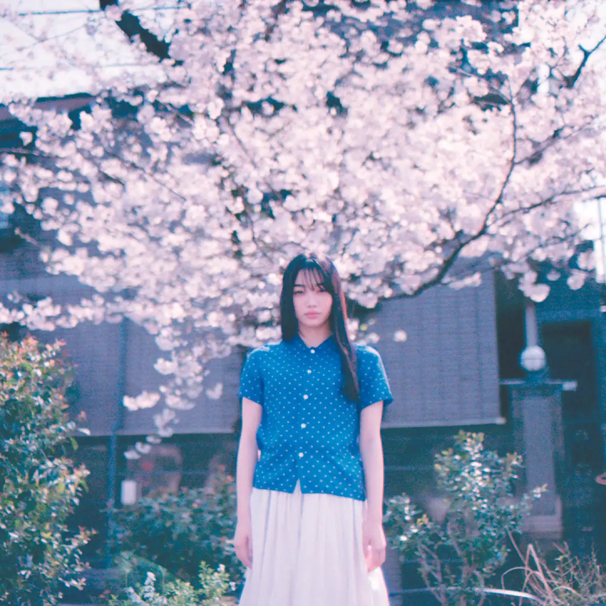 「Floating Clouds」/ 死魚眼∞増井湖々アートワーク