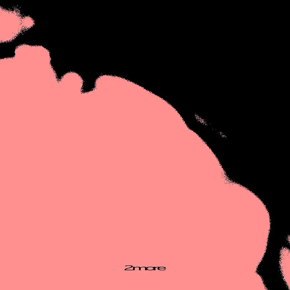 「2more」/ flip-flopsアートワーク
