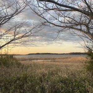 「sachlich(Instrumental)」/ gai sekiアートワーク