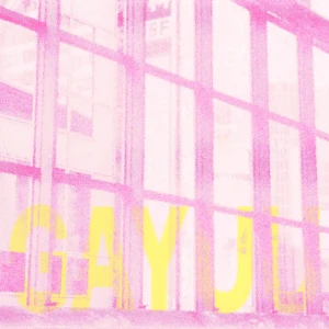 「どうなったっていい」/ GAYUUアートワーク