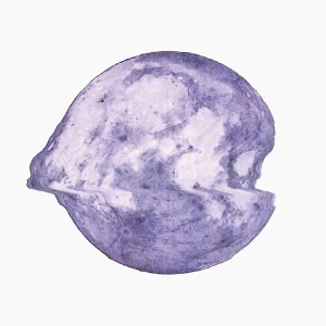 『葡萄のグレープ』/ Grape Kikiアートワーク