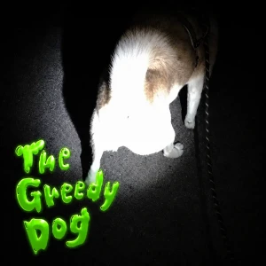 「The Greedy Dog feat.tiger bae」/ GSHアートワーク