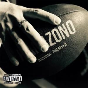 「HANAZONO」 hamma, PALMYRAアートワーク