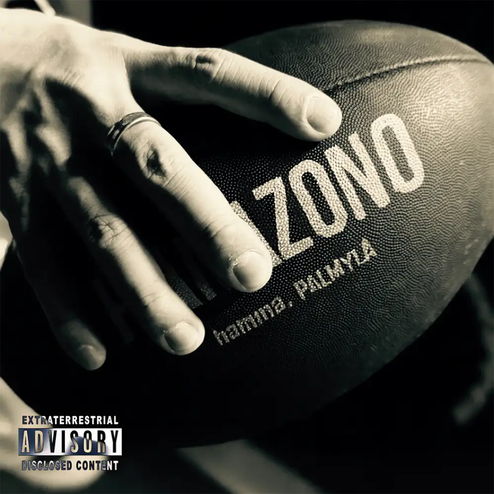 「HANAZONO」 hamma, PALMYRAアートワーク