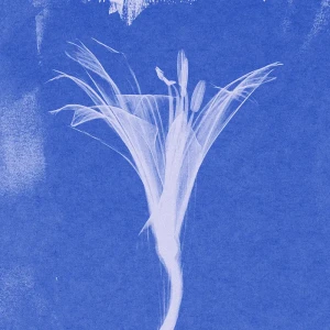 「home/away」/ hei apopoアートワーク