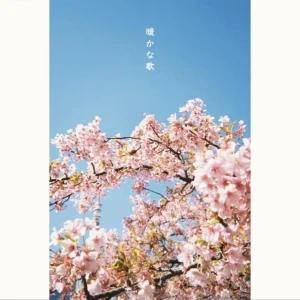 「暖かな歌」/ 放課後ホタルアートワーク