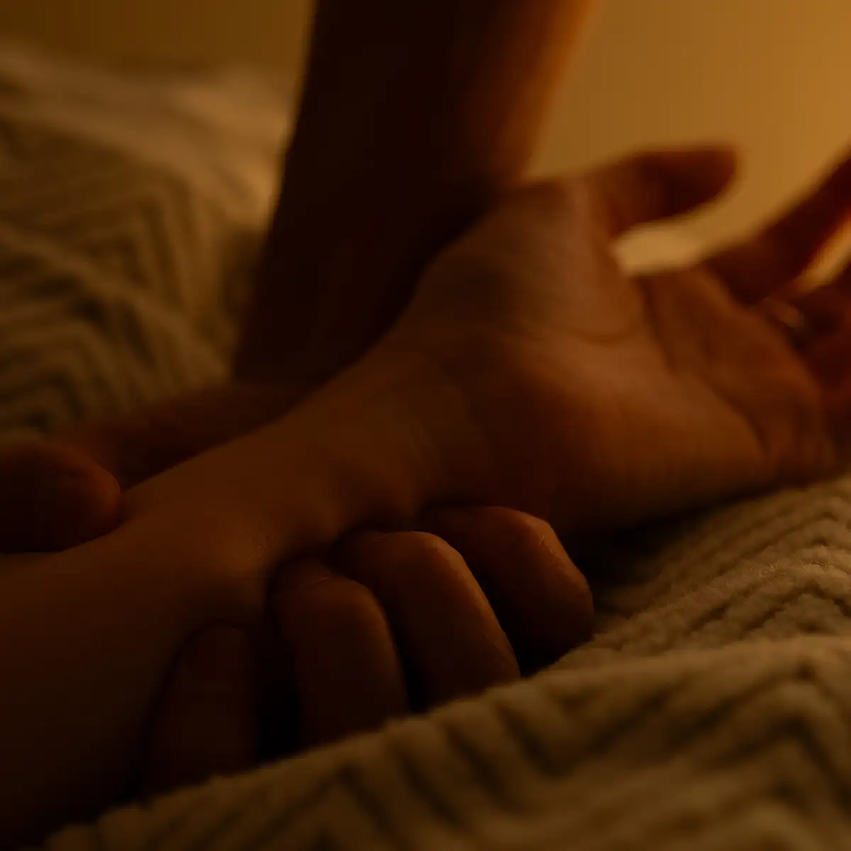 「真夜中の獣」/ DÉ DÉ MOUSE & ひかりアートワーク