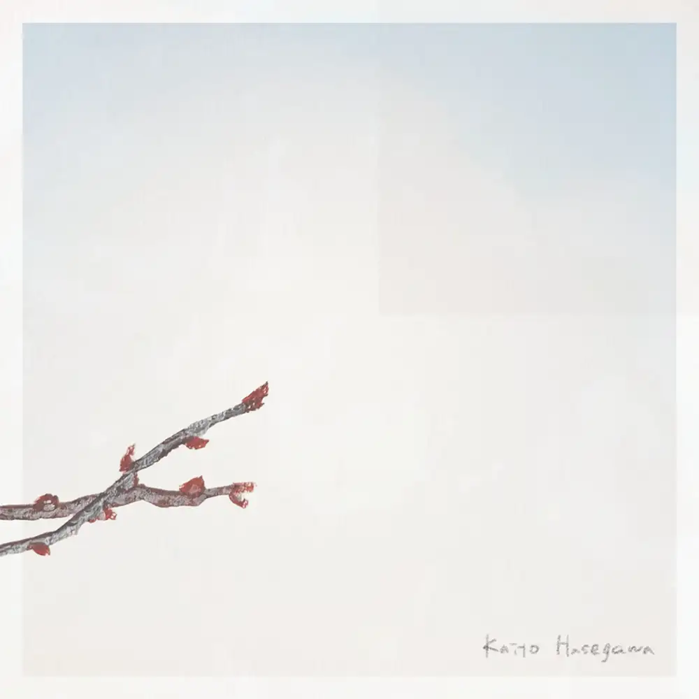 「しかたなく」/ 長谷川海音アートワーク