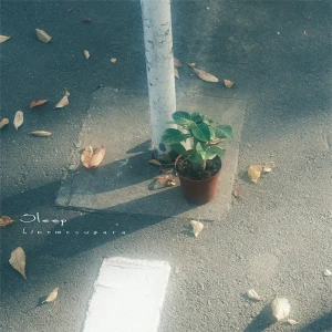 「sleep」/ 終日柄アートワーク