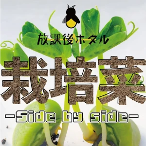 「栽培菜」 放課後ホタルアートワーク