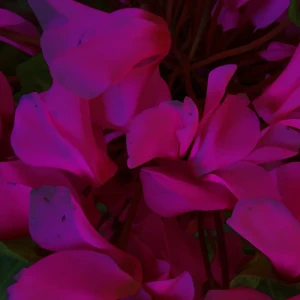 「Music for an Imaginary Film: Geometry of Paranoia」/ 石川泰昭アートワーク