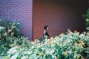 自由研究アー写