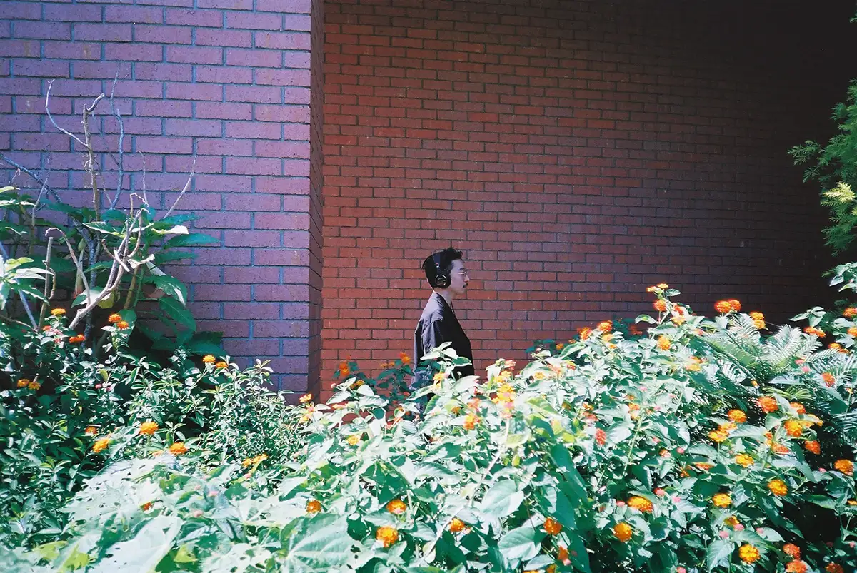 自由研究アー写