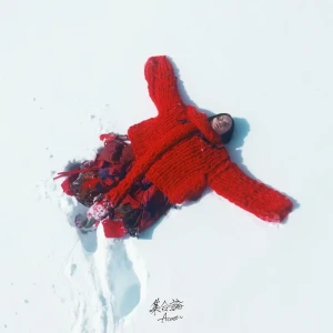 「集合論 (Acoustic)」 .jvknアートワーク