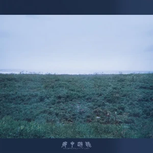 「みどりの幽霊/ 遠泳」寒中遊泳アートワーク