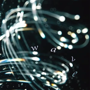 「wave」/ 小林未季アートワーク