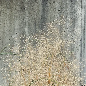 「愛と光を抱きしめて」/ 紺野メイアートワーク