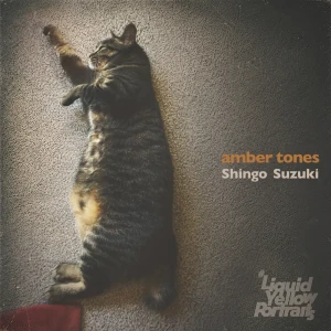 『amber tones』/ Shingo Suzukiアートワーク