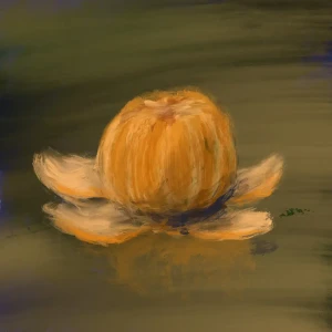 『みかん』/ メコンアートワーク