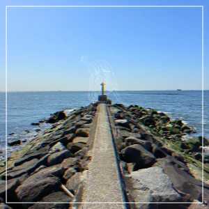 「address」/ miyuアートワーク