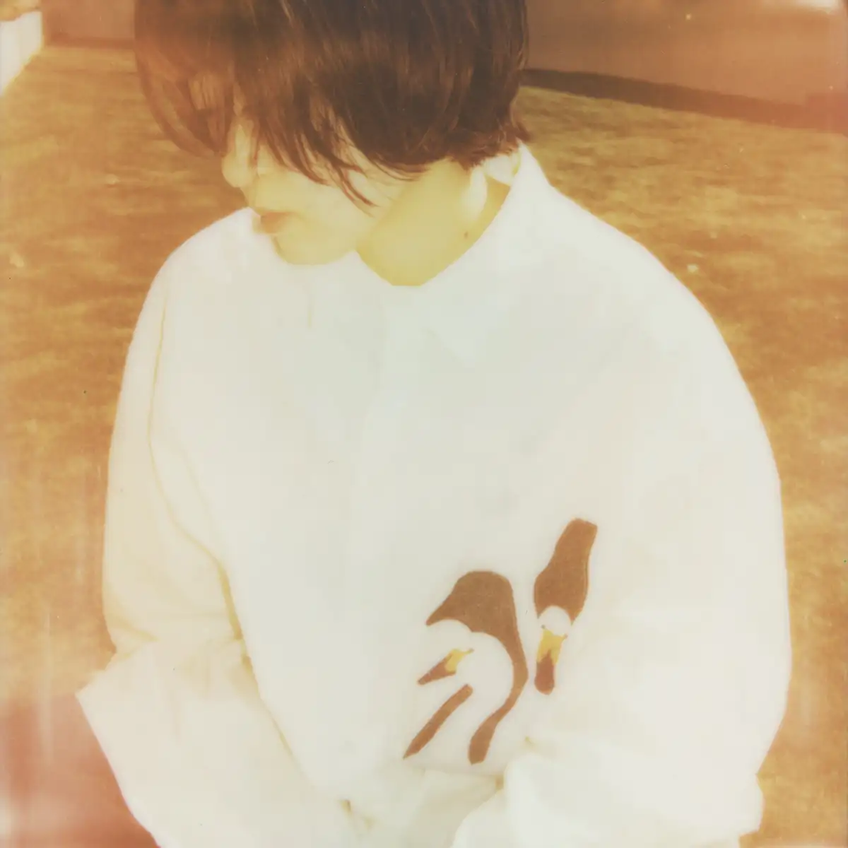 「惑星」/ m/lue.アー写