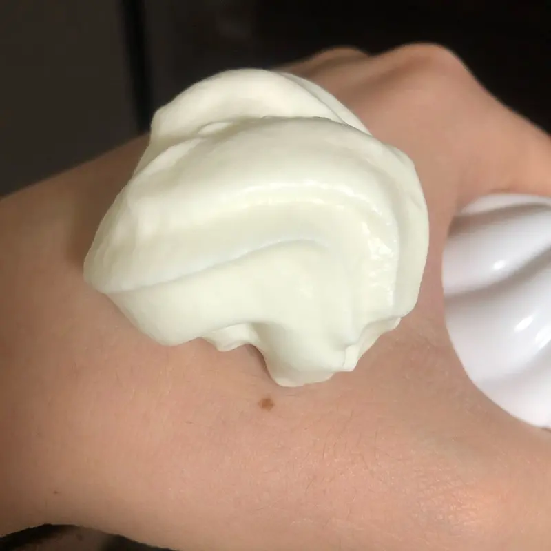 「SO MANY CATS」/ MON/KUアートワーク