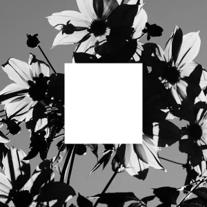『衝動の肖像 Portrait of Impulse』/ mouse on the keysアートワーク