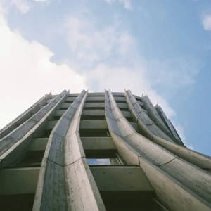 「OIKAZE」/Napeアートワーク