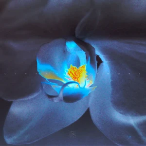 「Living Ghost」Nibiアートワーク