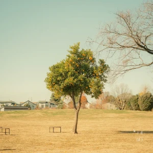 「kid(d)」/ nousアートワーク