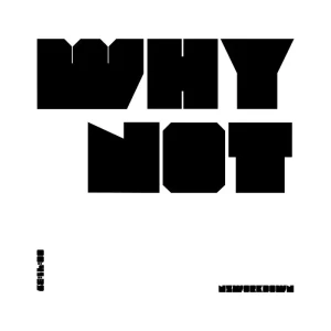 Why Not / nzworkdownアートワーク