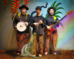 of Tropiqueアー写