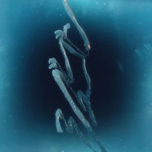 「ジュゴン (Prod by New K)」/ OHTORAアートワーク