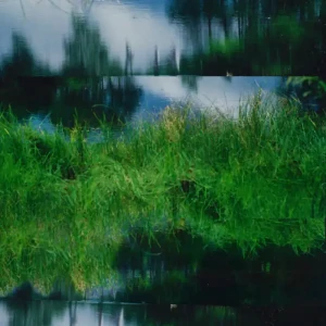 『White birch burns』/ Oyubiアートワーク