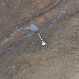 「cli-fi」/ package_emojiアートワーク