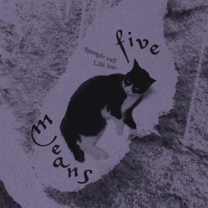 「five means」/ Spangle call Lilli lineアートワーク
