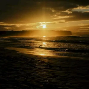 「somewhere by the beach feat. Otomodatchi」/ Shimon Hoshinoアートワーク
