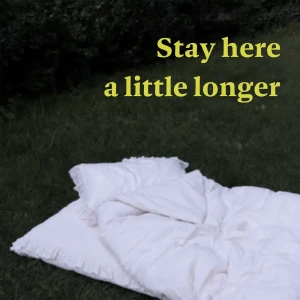 『Stay Here a Little Longer』/ シロクロミーアキャットアートワーク