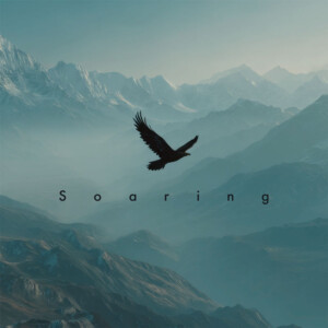 「Soaring」水中スピカアー写
