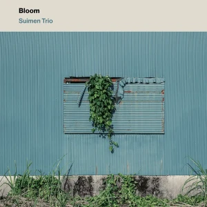 『Bloom』/ 水面トリオアートワーク