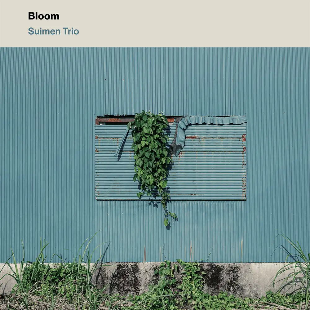 『Bloom』/ 水面トリオアートワーク