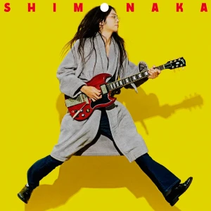 「SHIMONAKA」/ 下中洋介アート話０区